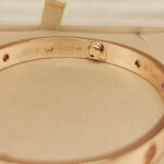 Cartier Love Bracelet Multi Gem Rainbow 18k rose gold, 17 (end 2015) - Image 4