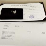 Piaget Possession earring 18k white gold, diamond (single) - Image 9