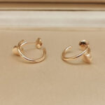 Cartier Juste un Clou earrings 18k rose gold - Image 3